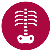 iconos-gemed-04-69fcfad8d6c2a