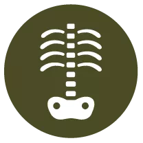 iconos-gemed-verde-04-69fcfaf65b264